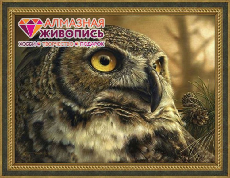 Магазин Филин Псков