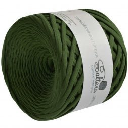 Трикотажная пряжа Saltera травяной (1 моток)