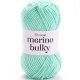 Пряжа Yarnart MERINO BULKY 841 мята (5 мотков)