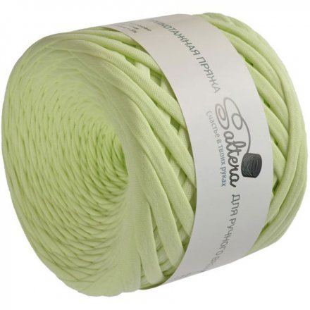 Трикотажная пряжа Saltera мохито (1 моток)